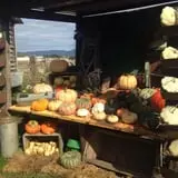 Prairie Home Farm photo