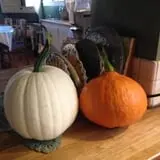Prairie Home Farm photo