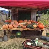 Prairie Home Farm photo