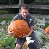 Prairie Home Farm photo
