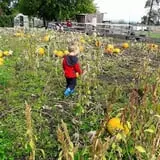 Prairie Home Farm photo