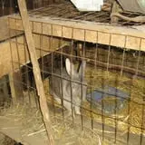 Wellington Farm USA photo