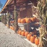 Kimmel Orchard & Vineyard photo