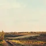 Kimmel Orchard & Vineyard photo