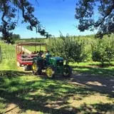 Kimmel Orchard & Vineyard photo