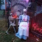 Haunted Village &  Ghost Train of Metamora photo