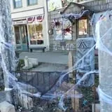 Haunted Village &  Ghost Train of Metamora photo