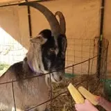 Mahaffy Ranch photo