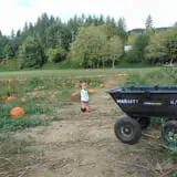 Mahaffy Ranch photo