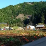 Mahaffy Ranch photo
