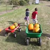 Mahaffy Ranch photo