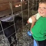 Mahaffy Ranch photo