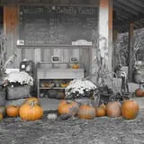 Mahaffy Ranch photo