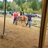 Mahaffy Ranch photo