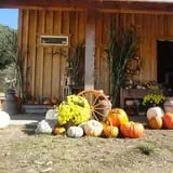 Mahaffy Ranch photo