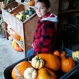 Mahaffy Ranch photo