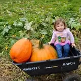 Mahaffy Ranch photo