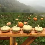 Mahaffy Ranch photo