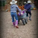 Mahaffy Ranch photo