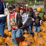 Tanner Family Orchard photo