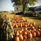 Tanner Family Orchard photo