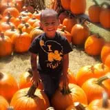Tanner Family Orchard photo