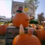 Tanner Family Orchard photo