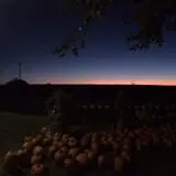 Tanner Family Orchard photo