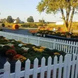 Tanner Family Orchard photo