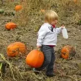 Tanner Family Orchard photo