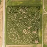 Tanner Family Orchard photo