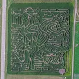 Tanner Family Orchard photo