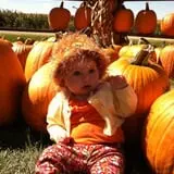 Tanner Family Orchard photo