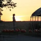 Tanner Family Orchard photo