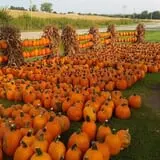 Tanner Family Orchard photo