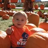 Tanner Family Orchard photo