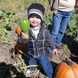 Tanner Family Orchard photo