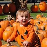 Tanner Family Orchard photo