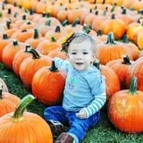 Tanner Family Orchard photo