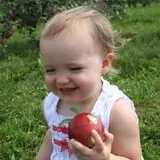 Tanner Family Orchard photo