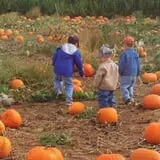 Tanner Family Orchard photo