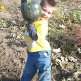 Tanner Family Orchard photo