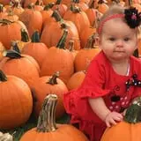 Tanner Family Orchard photo