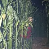 AZ Field of Screams