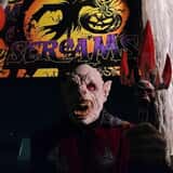 AZ Field of Screams photo