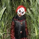 AZ Field of Screams photo