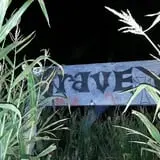 AZ Field of Screams photo