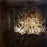 Enigma Escape Rooms photo