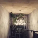 Enigma Escape Rooms photo