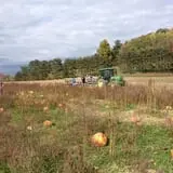 Okes Family Farms photo